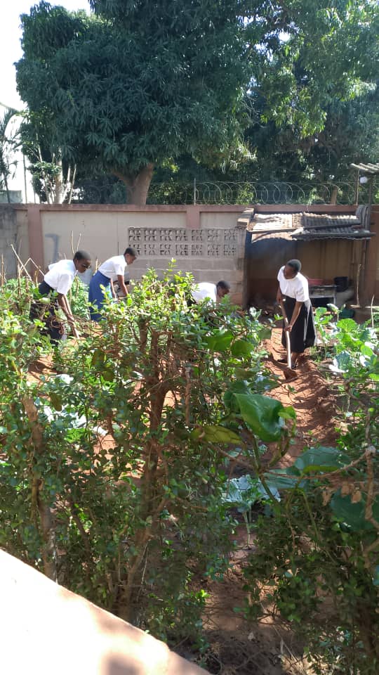 Vida Comunitaria
